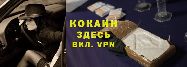 сатива Армянск