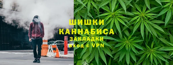 сатива Армянск