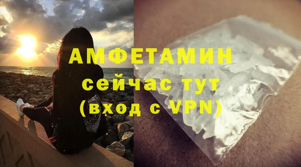 сатива Армянск