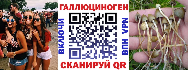 цены Реж Псилоцибиновые грибы Cubensis